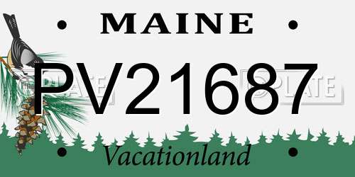 PV21687 Maine License Plate