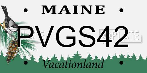 PVGS42 Maine License Plate