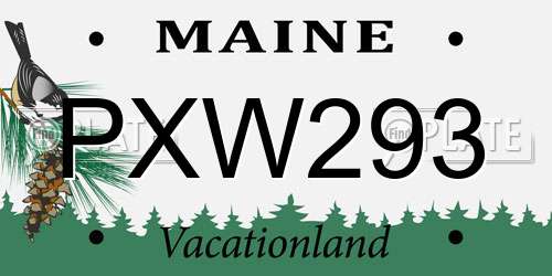 PXW293 Maine License Plate