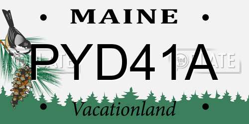 PYD41A Maine License Plate