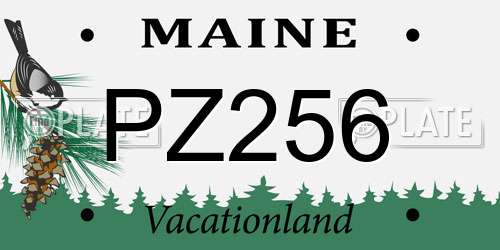 PZ256 Maine License Plate