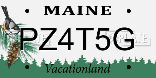 PZ4T5G Maine License Plate