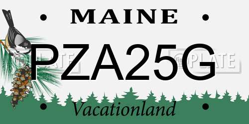PZA25G Maine License Plate