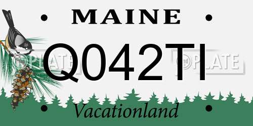Q042TI Maine License Plate
