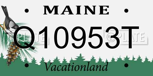 Q10953T Maine License Plate