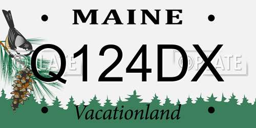 Q124DX Maine License Plate