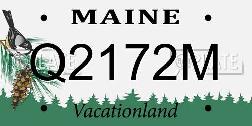Q2172M Maine License Plate
