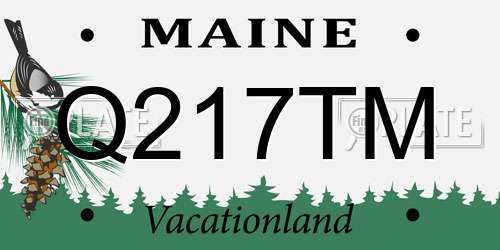 Q217TM Maine License Plate