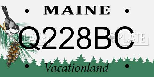 Q228BC Maine License Plate