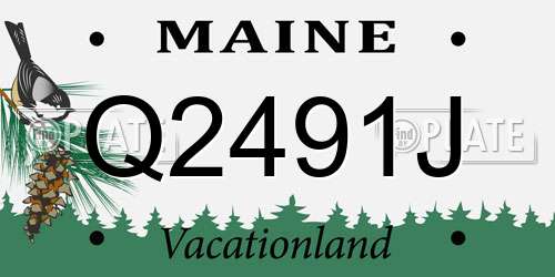 Q2491J Maine License Plate