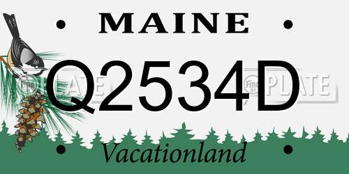 Q2534D Maine License Plate