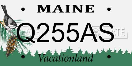Q255AS Maine License Plate