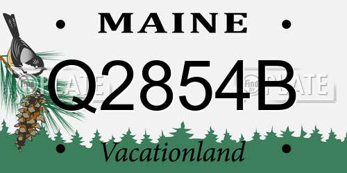 Q2854B Maine License Plate