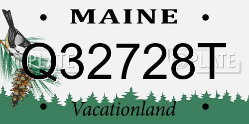 Q32728T Maine License Plate