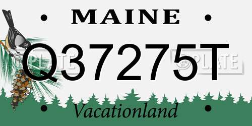 Q37275T Maine License Plate