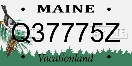 Q37775Z Maine License Plate
