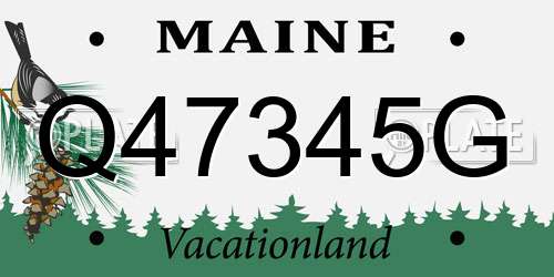 Q47345G Maine License Plate