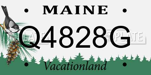 Q4828G Maine License Plate