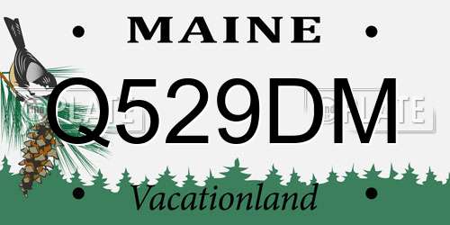 Q529DM Maine License Plate