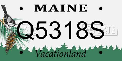 Q5318S Maine License Plate