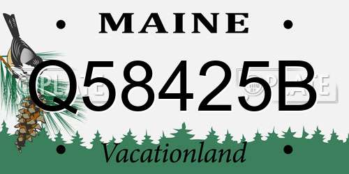 Q58425B Maine License Plate