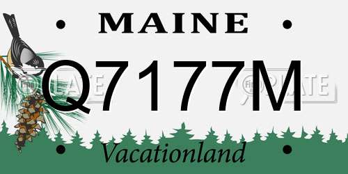 Q7177M Maine License Plate