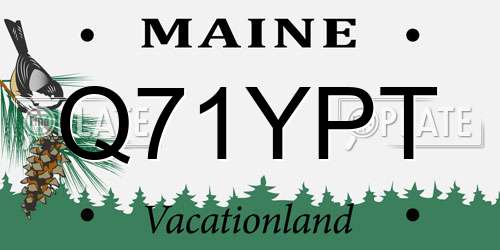 Q71YPT Maine License Plate