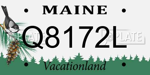 Q8172L Maine License Plate