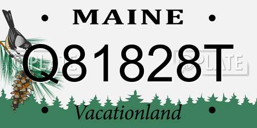 Q81828T Maine License Plate