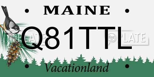 Q81TTL Maine License Plate