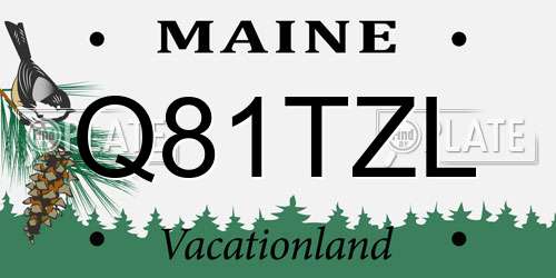 Q81TZL Maine License Plate