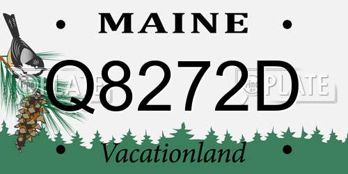 Q8272D Maine License Plate