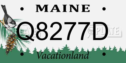 Q8277D Maine License Plate