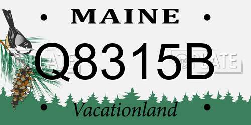 Q8315B Maine License Plate