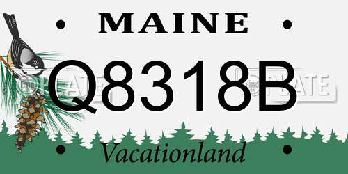 Q8318B Maine License Plate