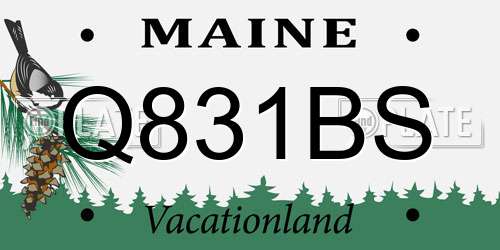 Q831BS Maine License Plate