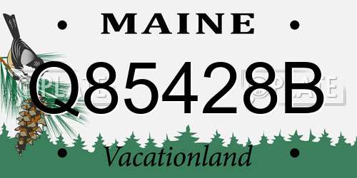 Q85428B Maine License Plate