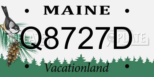Q8727D Maine License Plate