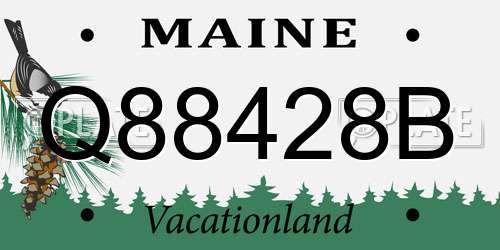 Q88428B Maine License Plate