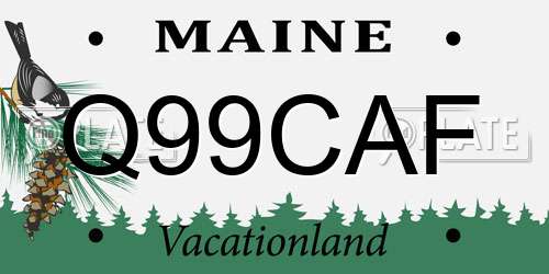 Q99CAF Maine License Plate