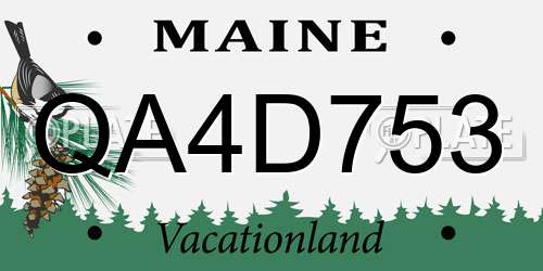 QA4D753 Maine License Plate