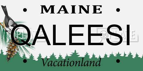 QALEESI Maine License Plate