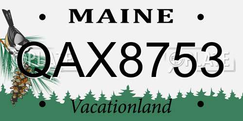 QAX8753 Maine License Plate
