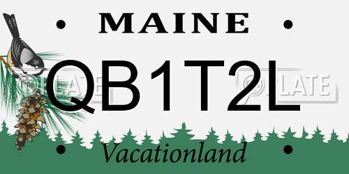 QB1T2L Maine License Plate