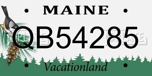 QB54285 Maine License Plate