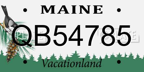 QB54785 Maine License Plate
