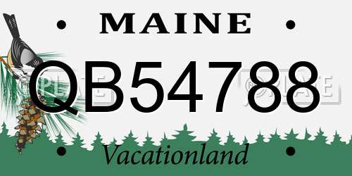 QB54788 Maine License Plate
