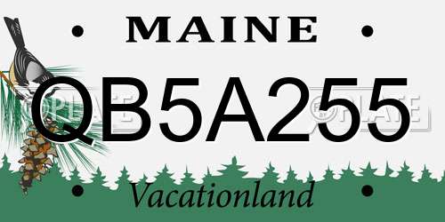 QB5A255 Maine License Plate