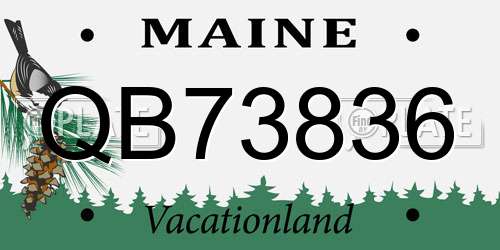 QB73836 Maine License Plate