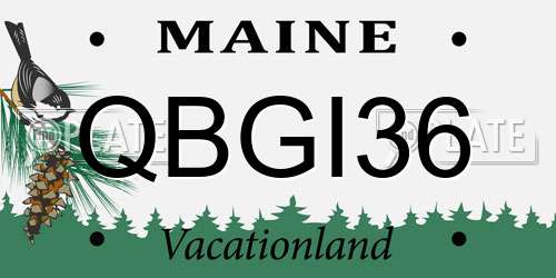QBGI36 Maine License Plate